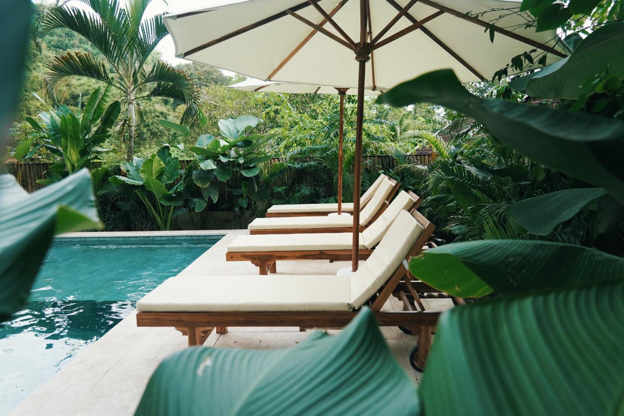 Jungle Bungalows Kuta  Εξωτερικό φωτογραφία